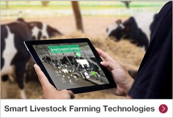 Smart Livestock Farming Technologies