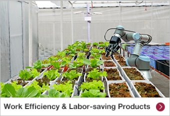 Work Efficiency & Labor-saving Products